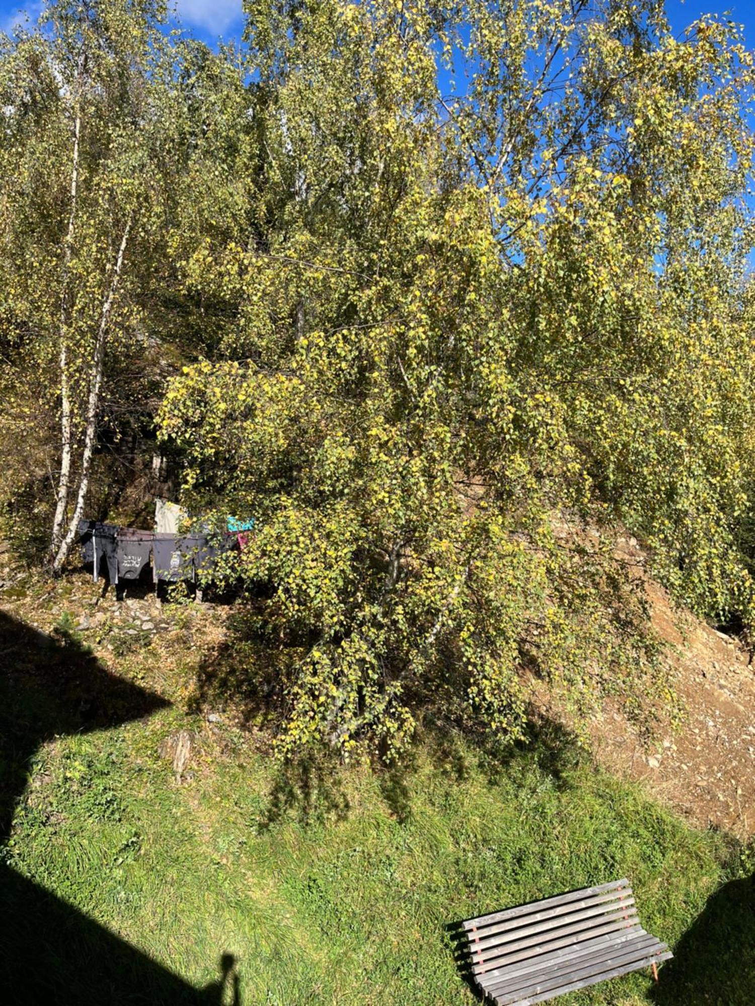 פליס Green Mountain Retreat מראה חיצוני תמונה